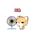 Sunny Day Shiba Inu (Interesting)（個別スタンプ：8）