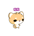 Sunny Day Shiba Inu (Interesting)（個別スタンプ：13）