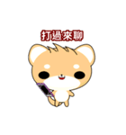 Sunny Day Shiba Inu (Interesting)（個別スタンプ：15）