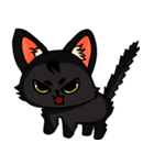 Kurofu cat（個別スタンプ：5）