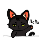 Kurofu cat（個別スタンプ：9）