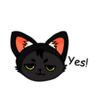 Kurofu cat（個別スタンプ：14）