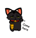 Kurofu cat（個別スタンプ：17）