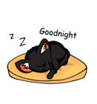 Kurofu cat（個別スタンプ：18）
