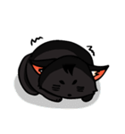 Kurofu cat（個別スタンプ：19）