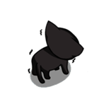 Kurofu cat（個別スタンプ：20）