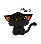 Kurofu cat（個別スタンプ：24）