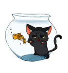 Kurofu cat（個別スタンプ：34）