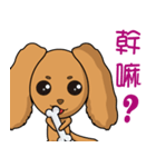 NiNi＆LaLa（個別スタンプ：2）