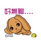 NiNi＆LaLa（個別スタンプ：7）
