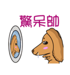 NiNi＆LaLa（個別スタンプ：12）
