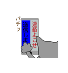 猫肉球（個別スタンプ：23）