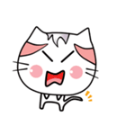 cat cat cuka（個別スタンプ：1）