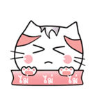 cat cat cuka（個別スタンプ：4）