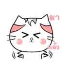 cat cat cuka（個別スタンプ：19）