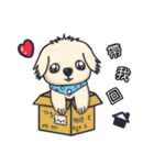 Wang Come（個別スタンプ：1）