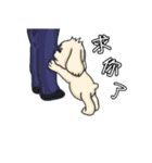 Wang Come（個別スタンプ：3）