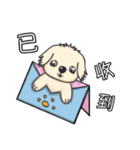 Wang Come（個別スタンプ：13）
