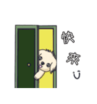Wang Come（個別スタンプ：14）