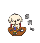 Wang Come（個別スタンプ：22）