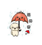 Wang Come（個別スタンプ：36）