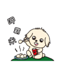 Wang Come（個別スタンプ：39）