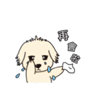 Wang Come（個別スタンプ：40）