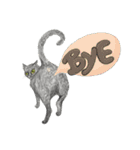 Black Addy Meow（個別スタンプ：8）