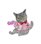 Black Addy Meow（個別スタンプ：18）
