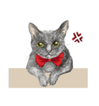 Black Addy Meow（個別スタンプ：26）