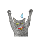 Black Addy Meow（個別スタンプ：31）