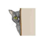 Black Addy Meow（個別スタンプ：33）