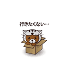 ネコをかぶったくまの動くスタンプ（個別スタンプ：24）