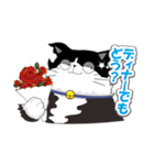 にゃっと猫キャラクターズ（個別スタンプ：30）