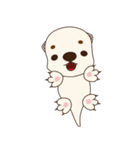 Otter TABO（個別スタンプ：13）