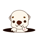 Otter TABO（個別スタンプ：37）