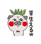 はらぺこ パグ（個別スタンプ：1）