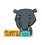 Little Tapir（個別スタンプ：3）