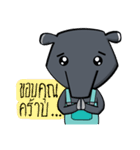 Little Tapir（個別スタンプ：4）