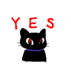 理系猫クロ。（個別スタンプ：1）