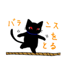 理系猫クロ。（個別スタンプ：14）