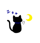 理系猫クロ。（個別スタンプ：21）