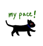 理系猫クロ。（個別スタンプ：24）