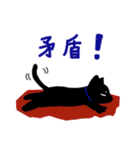 理系猫クロ。（個別スタンプ：34）