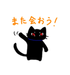 理系猫クロ。（個別スタンプ：36）