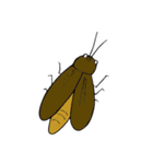 cute girl and cockroach（個別スタンプ：31）