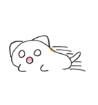 もちねこ スタンプ（個別スタンプ：31）