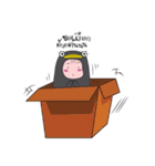 Penko Crazy Penguin（個別スタンプ：12）
