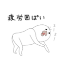bird！！（個別スタンプ：11）