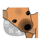 So cute dog (Mix)2（個別スタンプ：3）